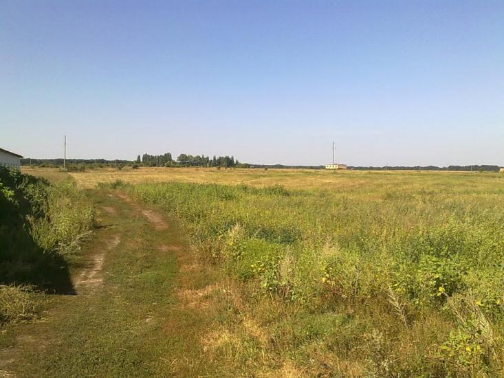 Засупоївка з panoramio.com - Засупоевка