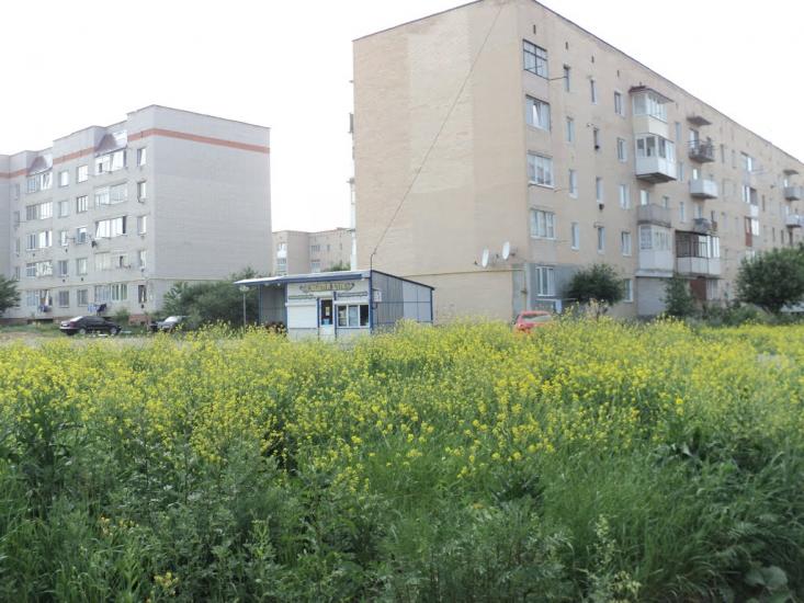 Біла з panoramio.com - Біла