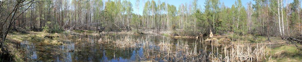 Мелені з panoramio.com - Meleni