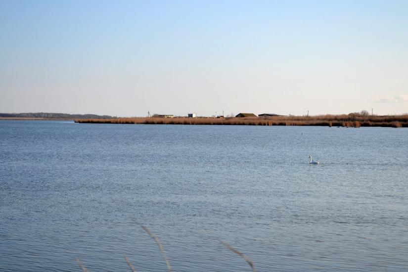 Дарівка з panoramio.com - Дарівка