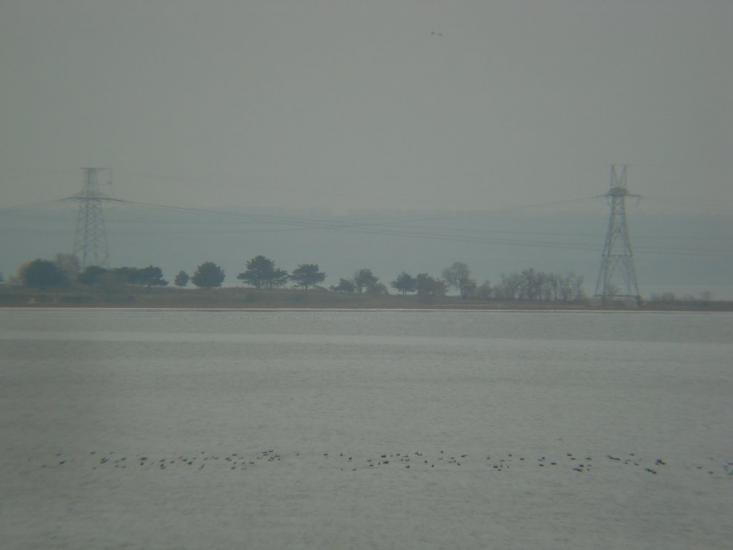 Калинівка з panoramio.com - Калиновка