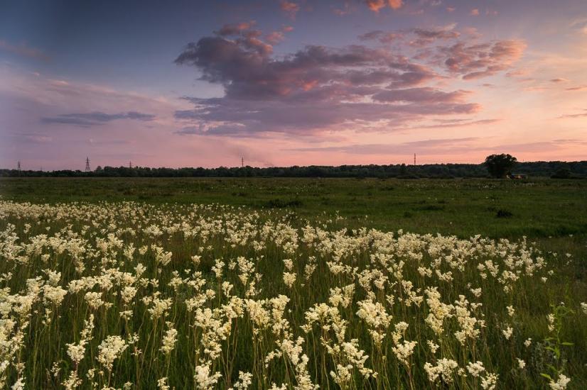 Єньків з panoramio.com - Еньков