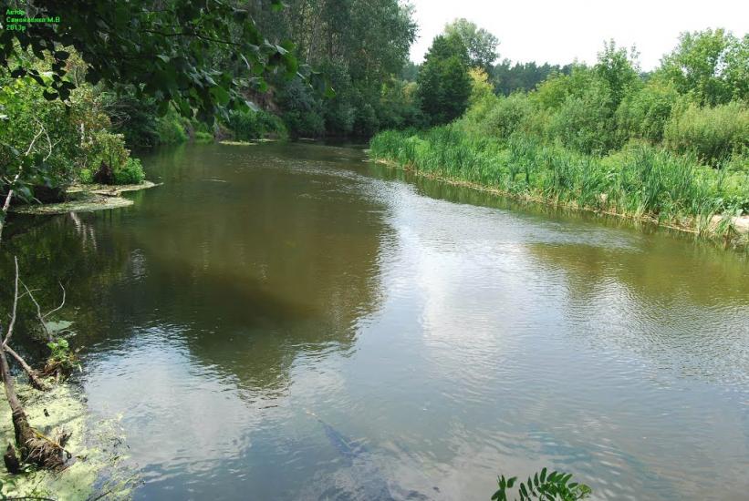 Лабурівка з panoramio.com - Лабуревка