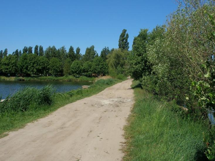 Забір'я з panoramio.com - Zabirya