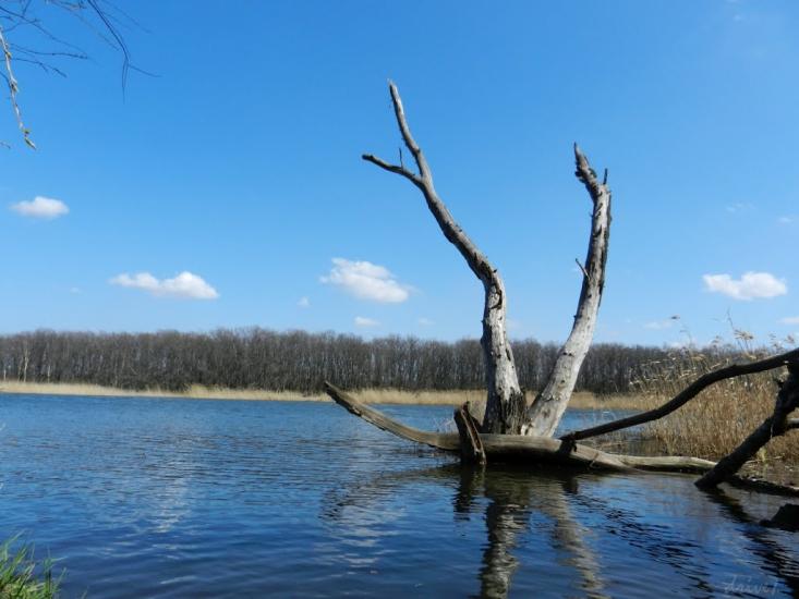 Інгулець з panoramio.com - Ингулец