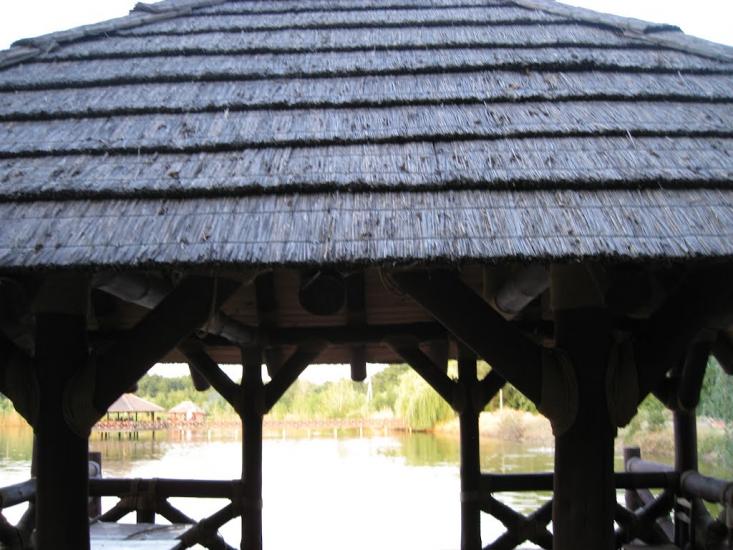 Вільхове з panoramio.com - Вільхове