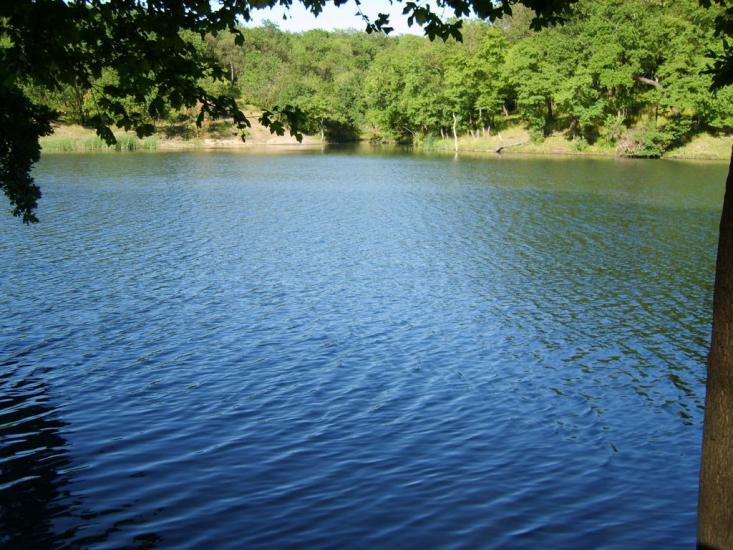 Сєверне з panoramio.com - Syeverne