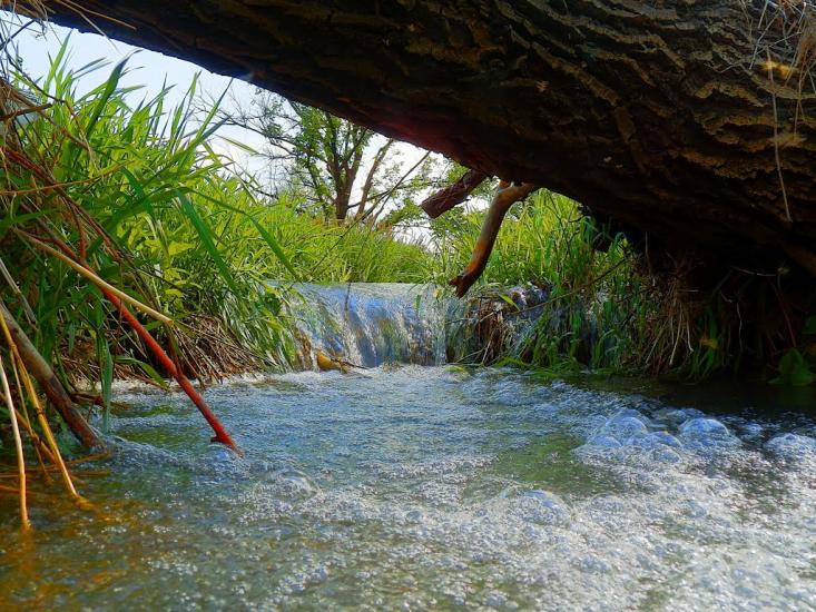 Біле з panoramio.com - Белое