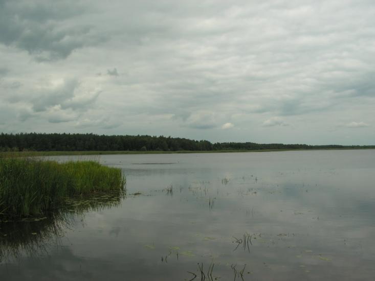 Згорани з panoramio.com - Згораны