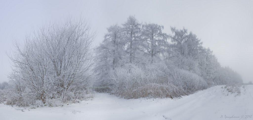 Мишковичі з panoramio.com - Мышковичи