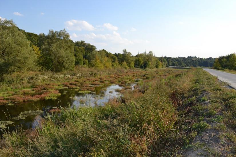 Романівка з panoramio.com - Романівка