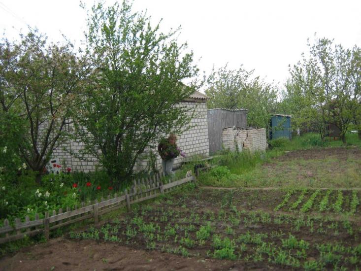 Пшонянове з panoramio.com - Пшеняново