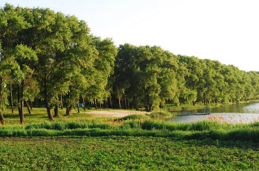 Узин з panoramio.com - Uzyn