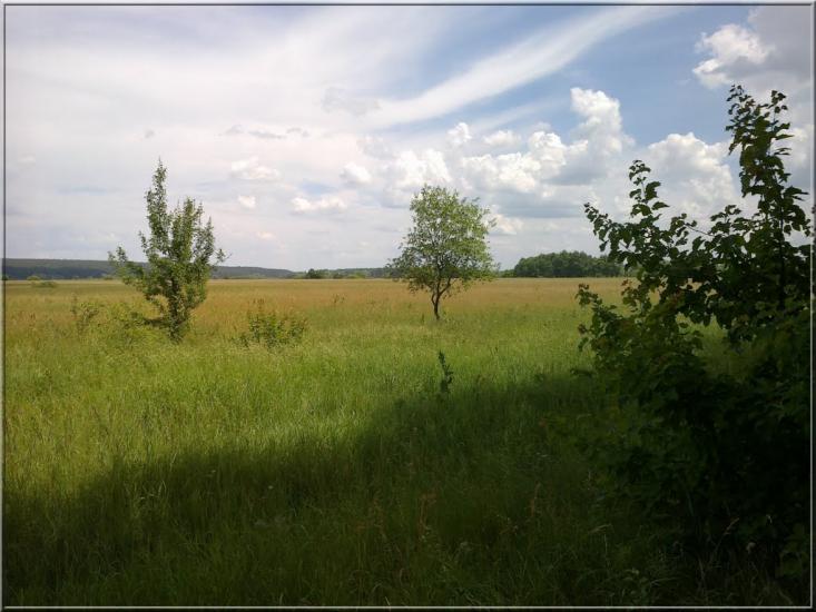 Прилужжя з panoramio.com - Прилужье