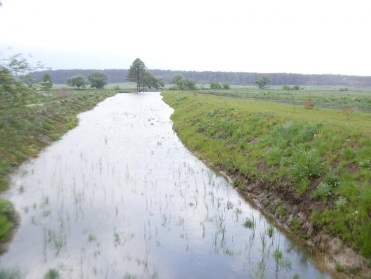 Тарасенки з panoramio.com - Тарасенки