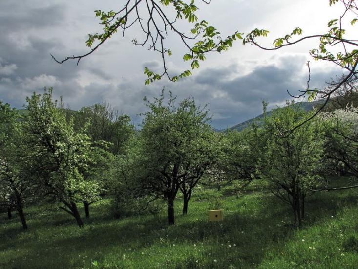 Баня-Березів з panoramio.com - Баня-Березов
