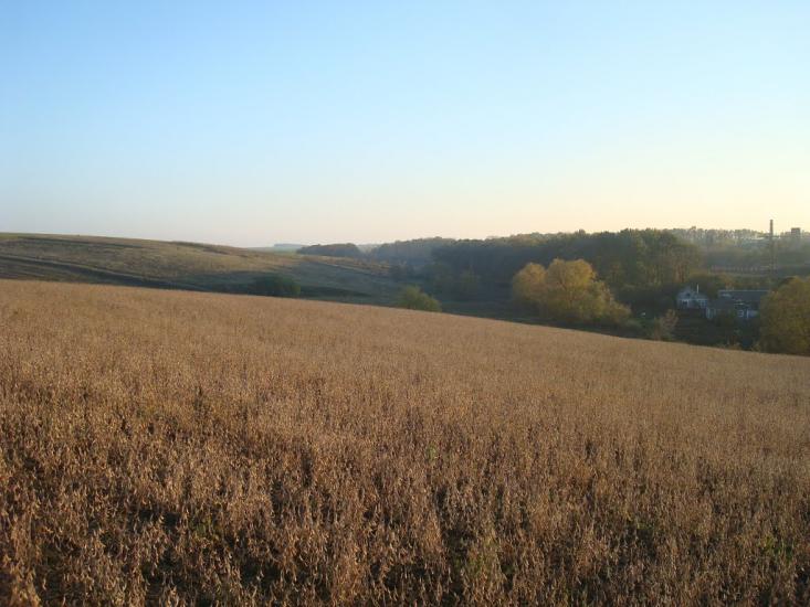 Томашівка з panoramio.com - Томашовка