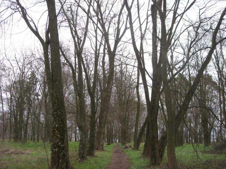 Переможне з panoramio.com - Переможное