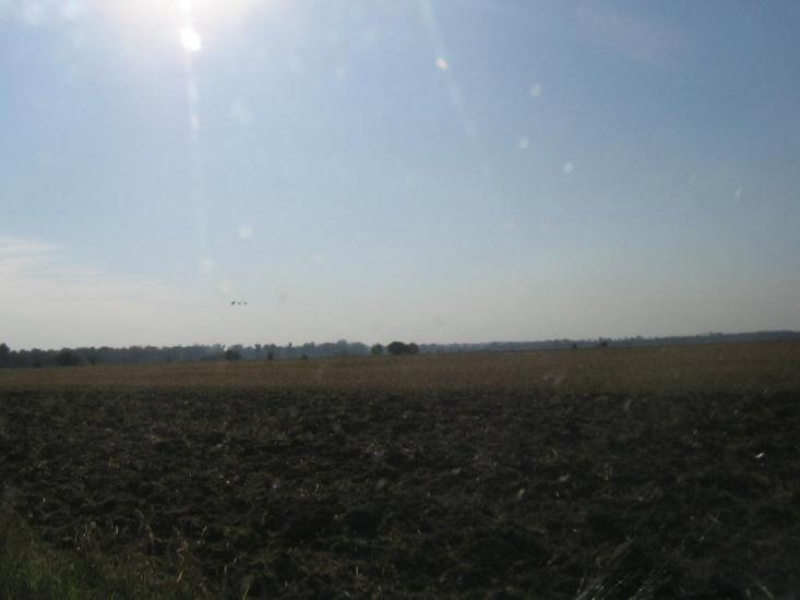 Матяшівка з panoramio.com - Матяшівка