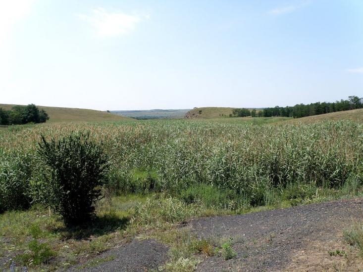 Княгинівка з panoramio.com - Княгинівка