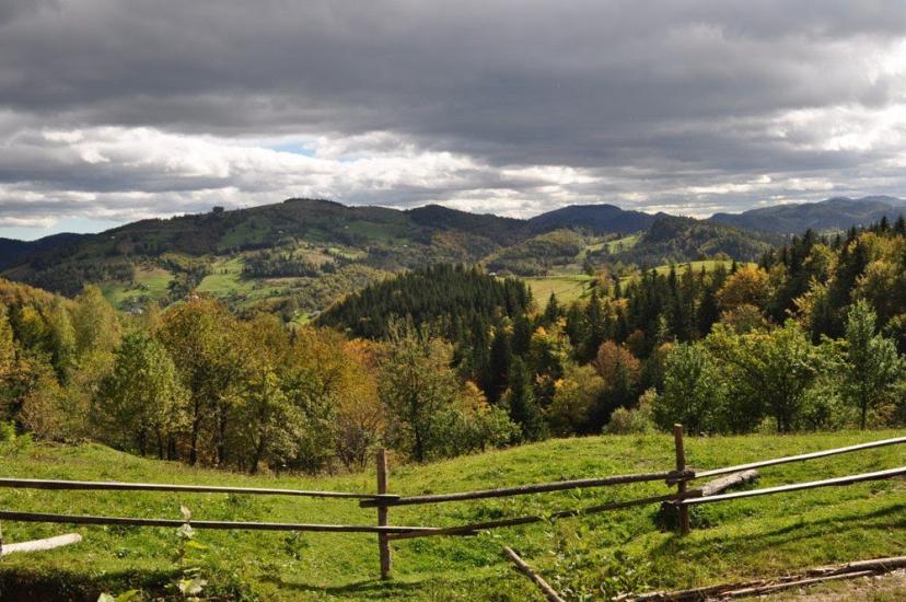 Акрешори з panoramio.com - Акрешоры