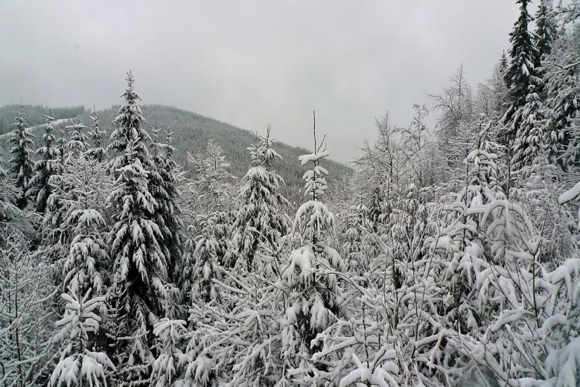 Поляниця з panoramio.com - Поляница