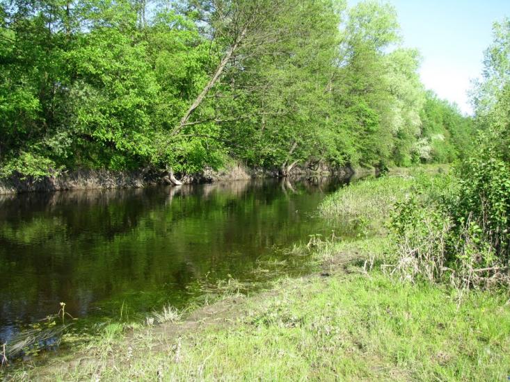 Сенча з panoramio.com - Sencha