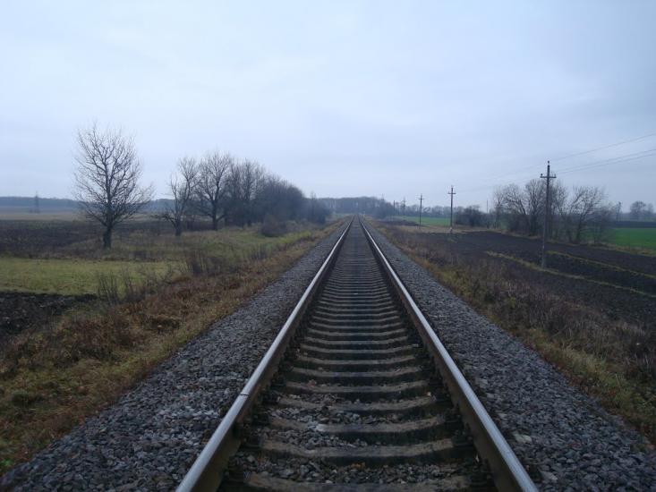 Радісне з panoramio.com - Радісне