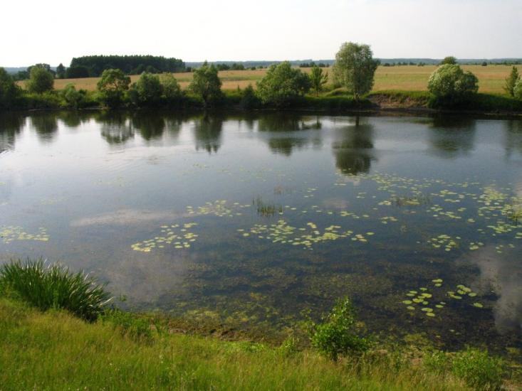 Гірки з panoramio.com - Гірки