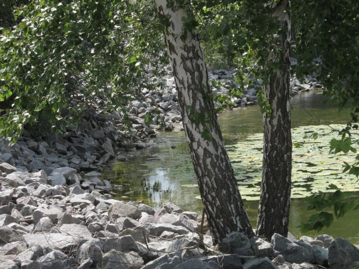 Халеп'я з panoramio.com - Khalepya