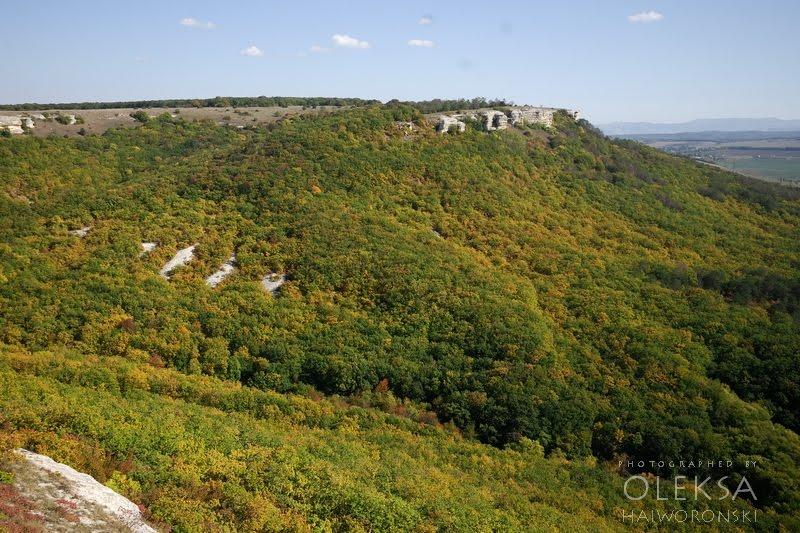 Партизанське з panoramio.com - Партизанское