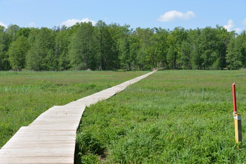 Корюківка з panoramio.com - Корюковка