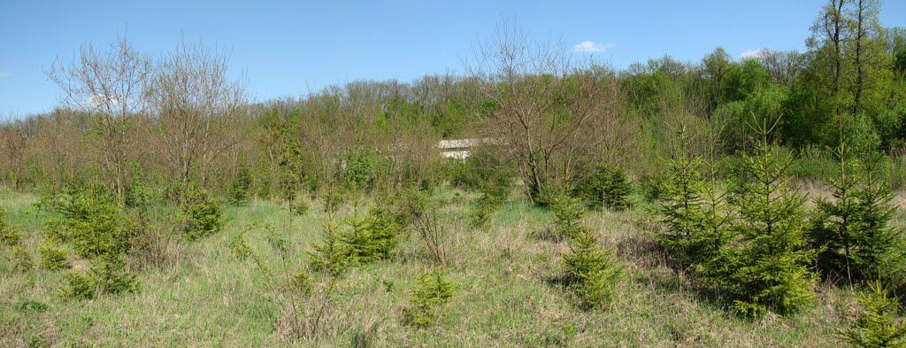 Бахматівці з panoramio.com - Bakhmativtsi