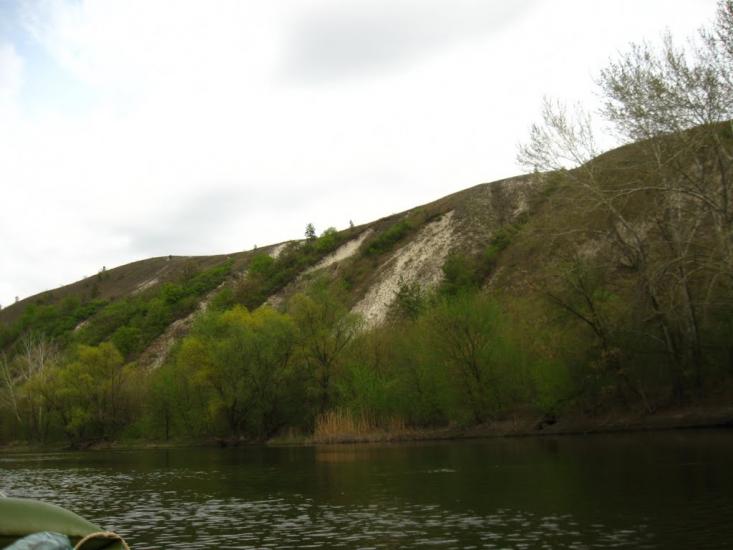 Крива Лука з panoramio.com - Крива Лука