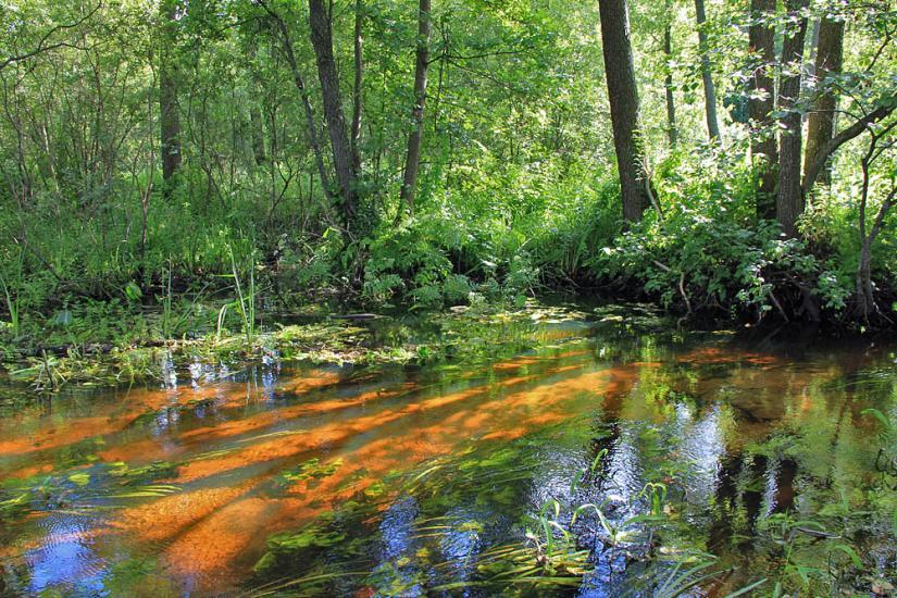 Бережниця з panoramio.com - Бережниця