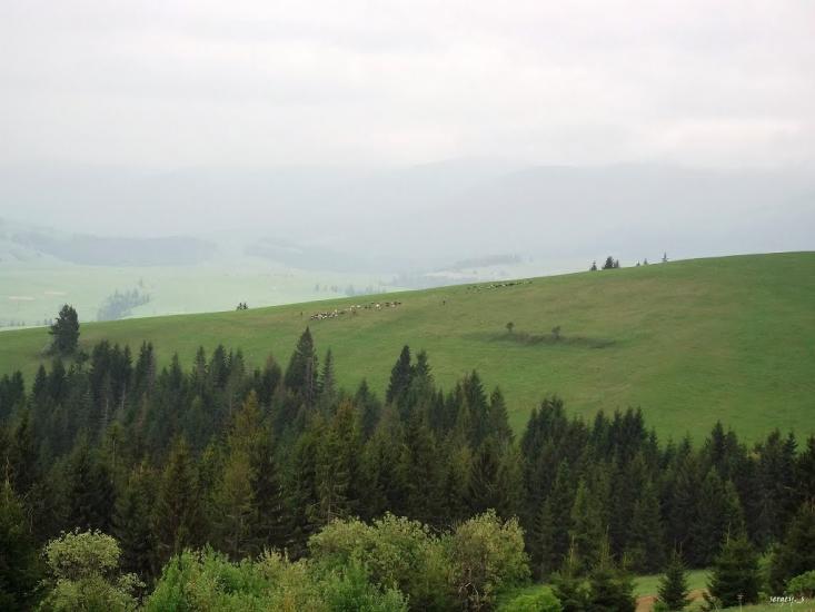 Пилипець з panoramio.com - Пилипец