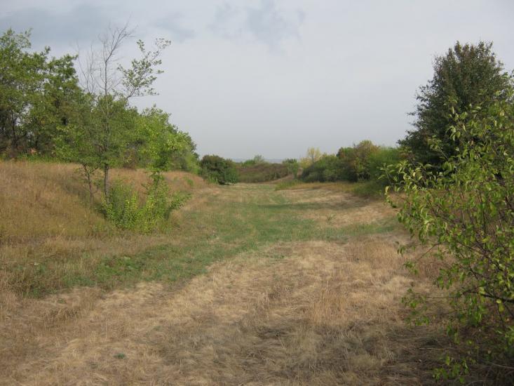 Петровеньки з panoramio.com - Петровеньки