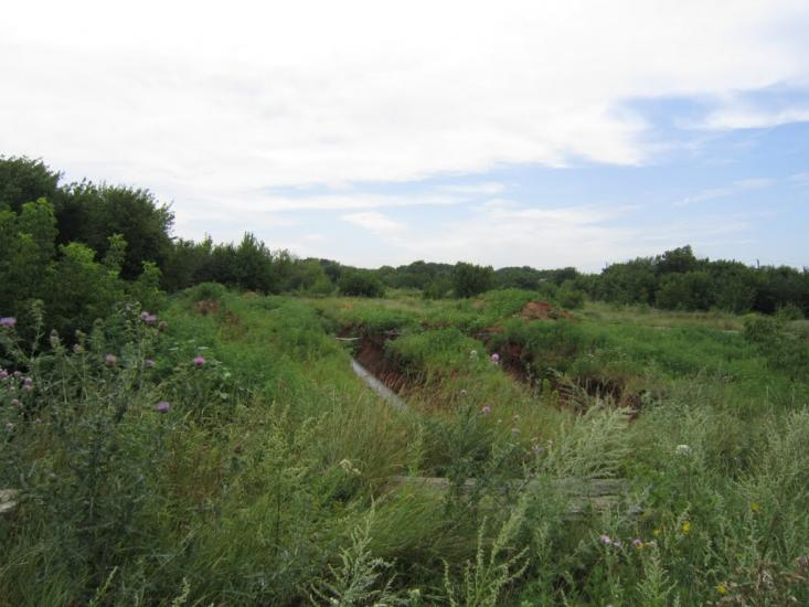 Каштанове з panoramio.com - Каштанове