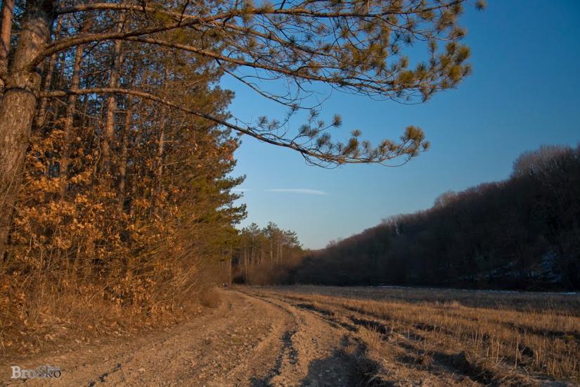 Прохладне з panoramio.com - Прохладное