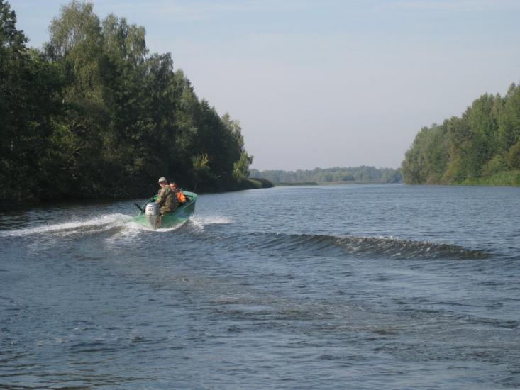 Сорокошичі з panoramio.com - Сорокошичи