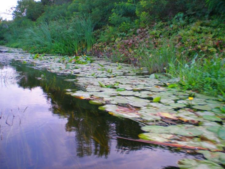 Михайлівка з panoramio.com - Mikhaylivka