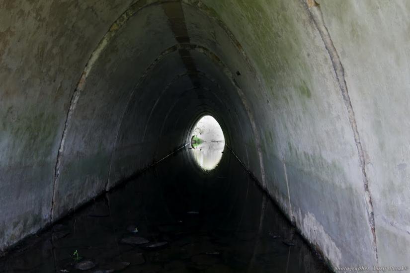 Сурсько-Клевцеве з panoramio.com - Сурско-Клевцово