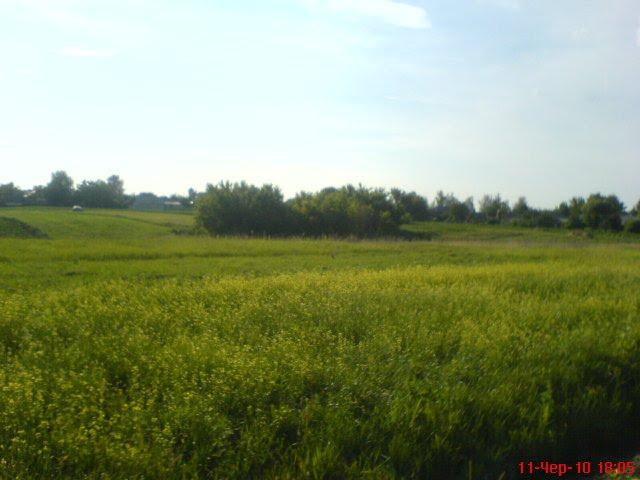 Попівка з panoramio.com - Поповка