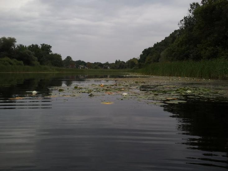Усть-Лип'янка з panoramio.com - Усть-Липянка