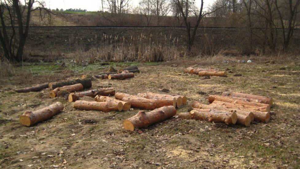 Пасіки-Зубрицькі з panoramio.com - Пасеки-Зубрицкие