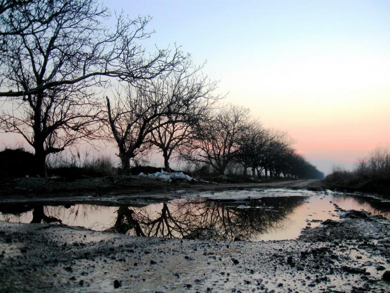 Мізікевича з panoramio.com - Мизикевича
