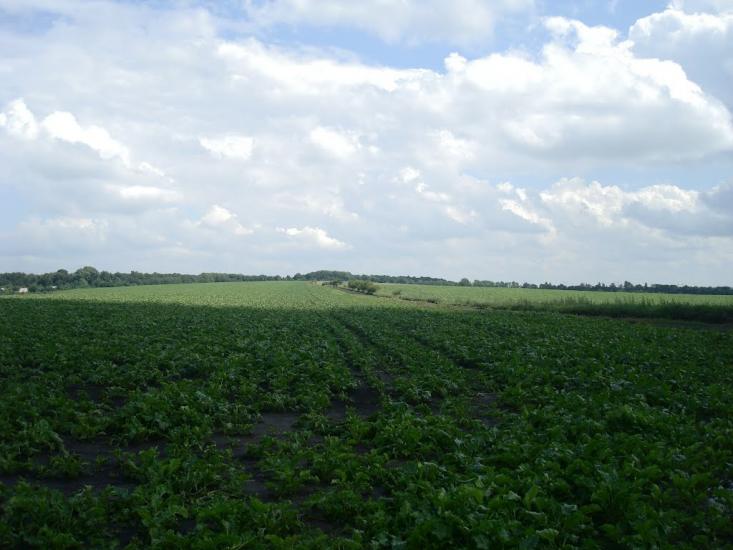 Грузевиця з panoramio.com - Грузевиця