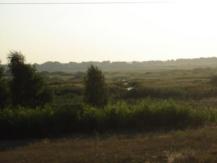 Козаровичі з panoramio.com - Козаровичи