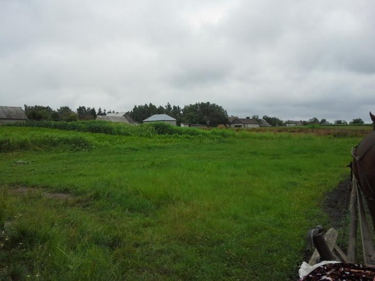 Вирка з panoramio.com - Вирка