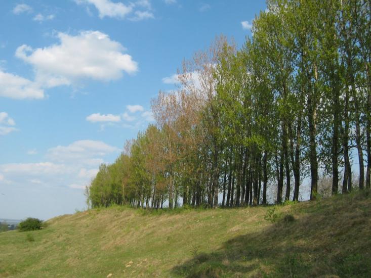 Дебеславці з panoramio.com - Дебеславцы